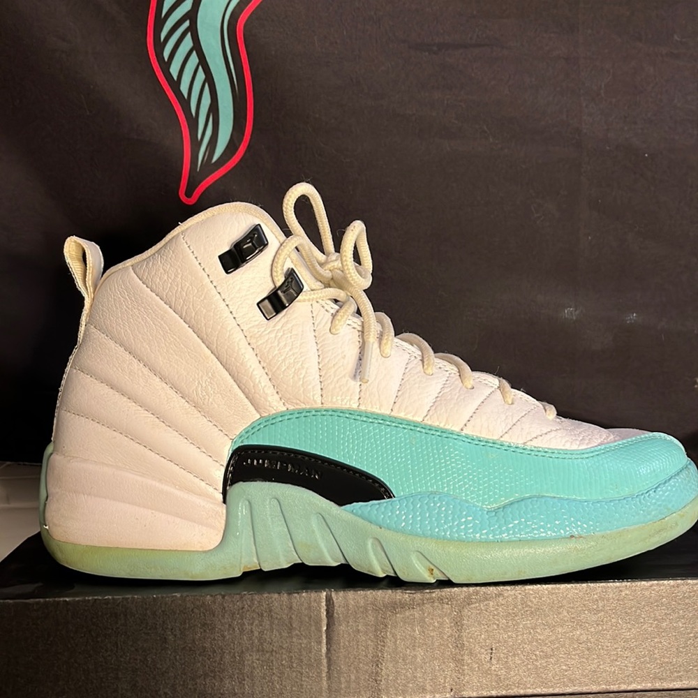 Jordan 12 retro
